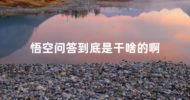 悟空问答到底是干啥的啊