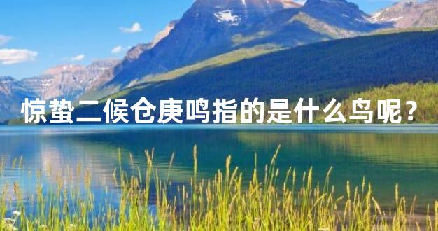 惊蛰二候仓庚鸣指的是什么鸟呢？