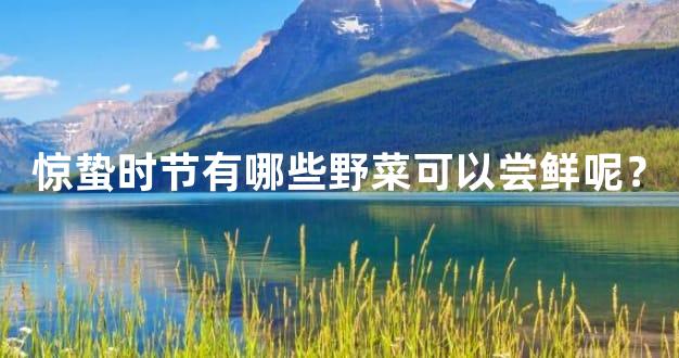 惊蛰时节有哪些野菜可以尝鲜呢？