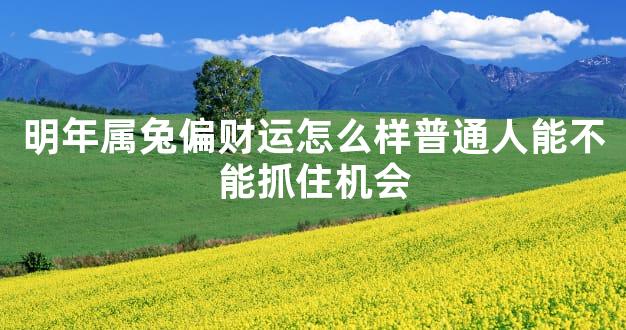 明年属兔偏财运怎么样普通人能不能抓住机会