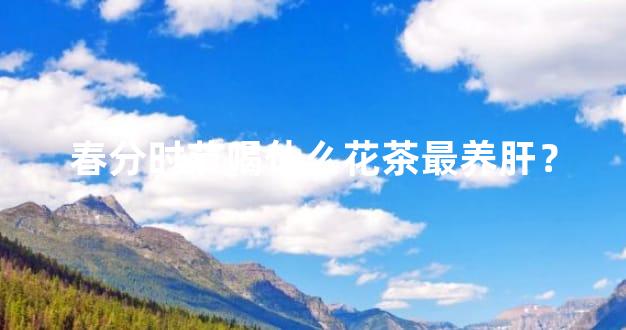 春分时节喝什么花茶最养肝？