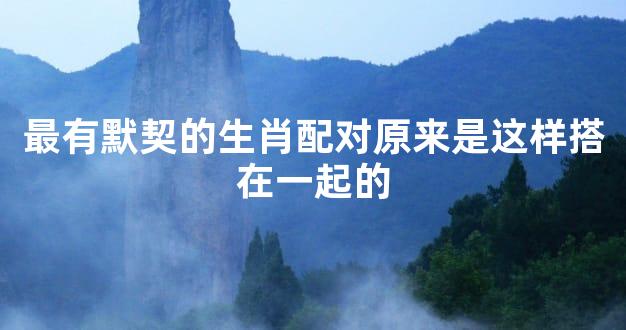 最有默契的生肖配对原来是这样搭在一起的