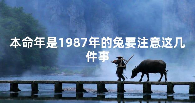本命年是1987年的兔要注意这几件事