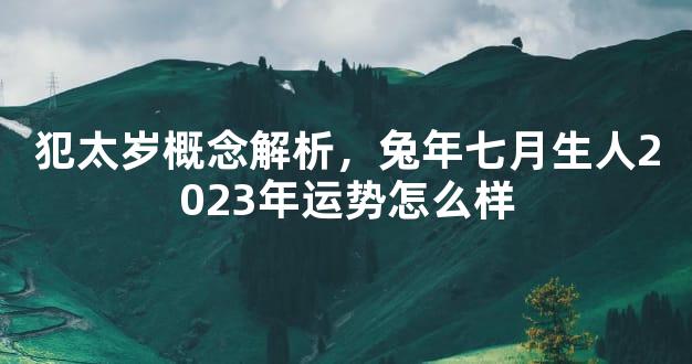 犯太岁概念解析，兔年七月生人2023年运势怎么样