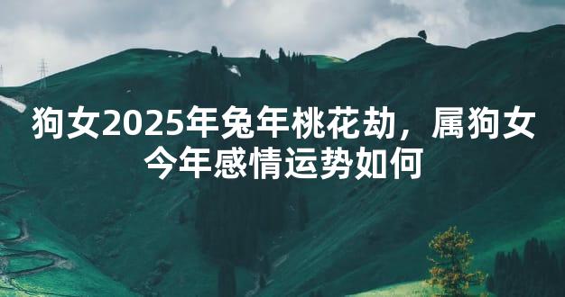 狗女2025年兔年桃花劫，属狗女今年感情运势如何