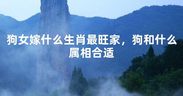 狗女嫁什么生肖最旺家，狗和什么属相合适