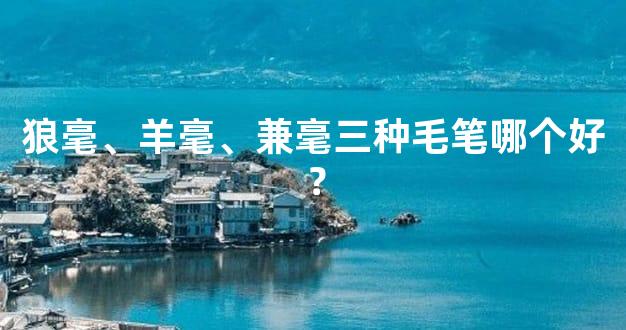 狼毫、羊毫、兼毫三种毛笔哪个好？
