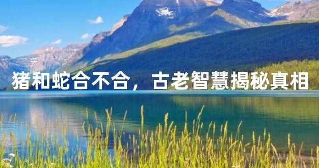 猪和蛇合不合，古老智慧揭秘真相