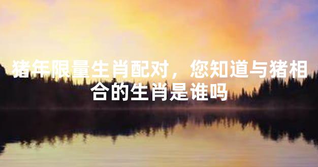 猪年限量生肖配对，您知道与猪相合的生肖是谁吗