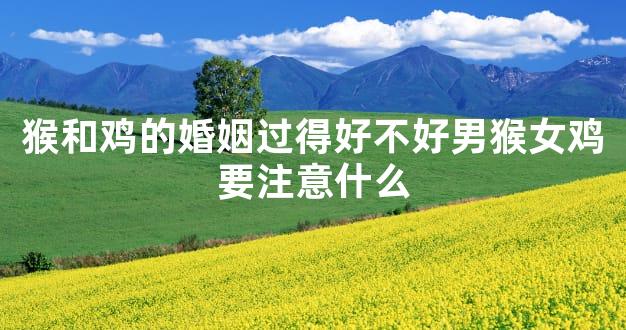 猴和鸡的婚姻过得好不好男猴女鸡要注意什么