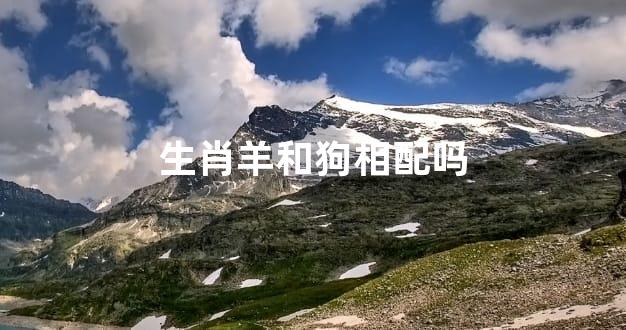 生肖羊和狗相配吗