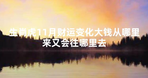 生肖虎11月财运变化大钱从哪里来又会往哪里去