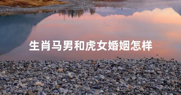 生肖马男和虎女婚姻怎样