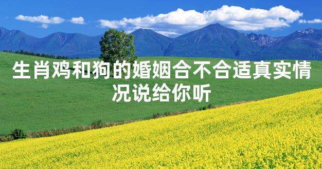生肖鸡和狗的婚姻合不合适真实情况说给你听