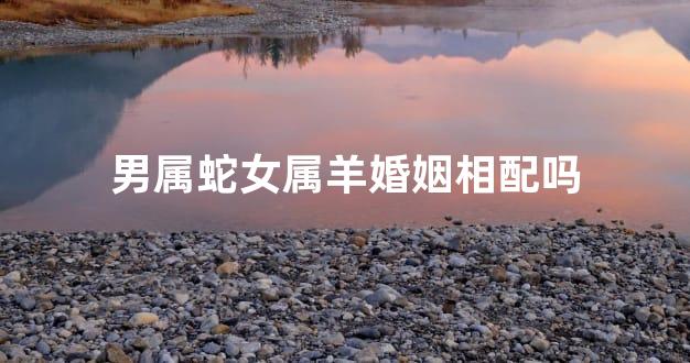 男属蛇女属羊婚姻相配吗