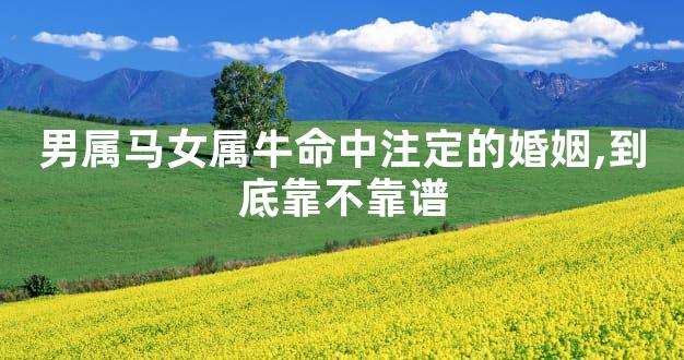 男属马女属牛命中注定的婚姻,到底靠不靠谱