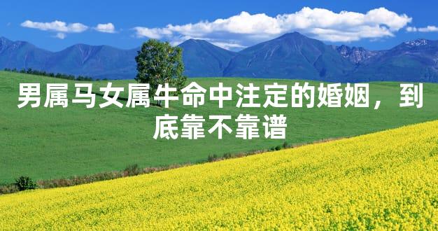 男属马女属牛命中注定的婚姻，到底靠不靠谱