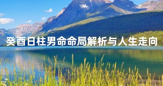 癸酉日柱男命命局解析与人生走向