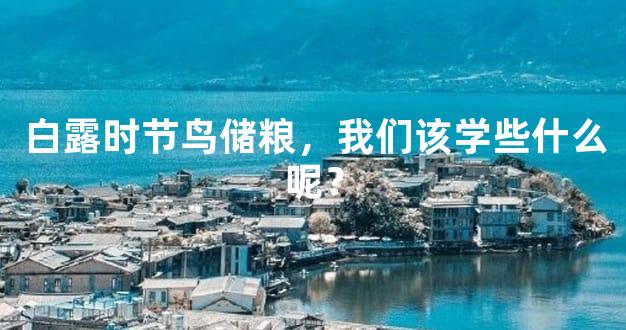 白露时节鸟储粮，我们该学些什么呢？