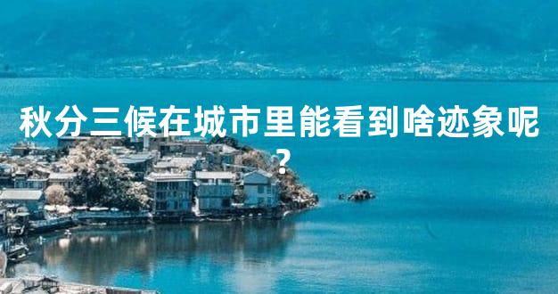 秋分三候在城市里能看到啥迹象呢？