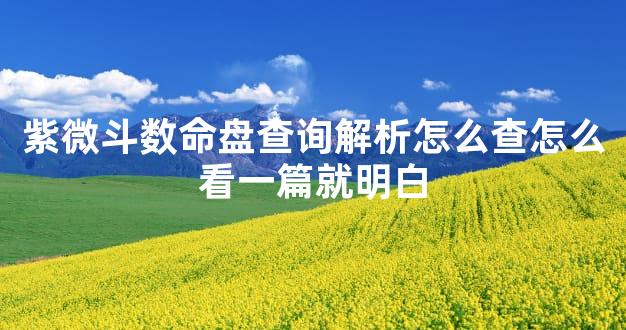 紫微斗数命盘查询解析怎么查怎么看一篇就明白