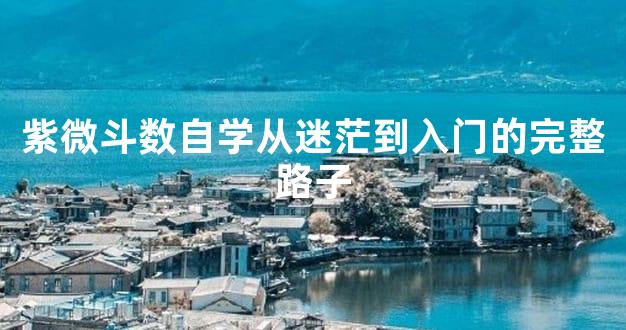 紫微斗数自学从迷茫到入门的完整路子