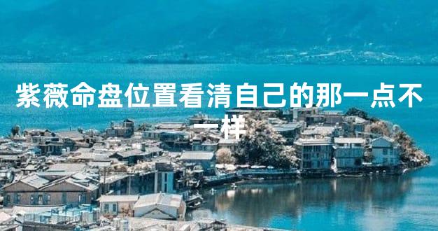 紫薇命盘位置看清自己的那一点不一样