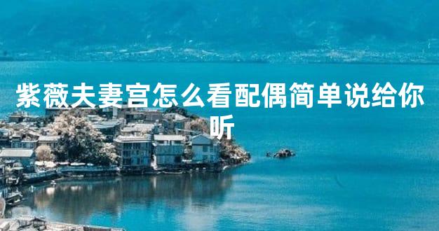 紫薇夫妻宫怎么看配偶简单说给你听