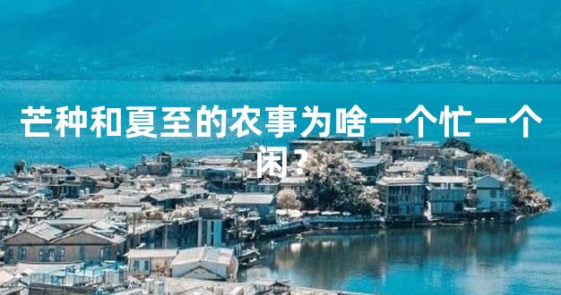 芒种和夏至的农事为啥一个忙一个闲？