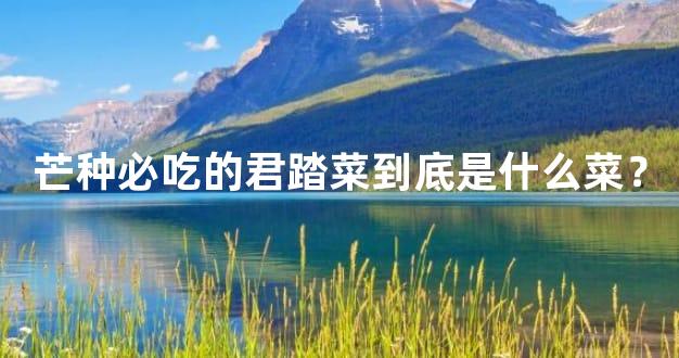 芒种必吃的君踏菜到底是什么菜？
