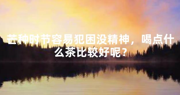 芒种时节容易犯困没精神，喝点什么茶比较好呢？
