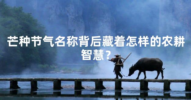 芒种节气名称背后藏着怎样的农耕智慧？