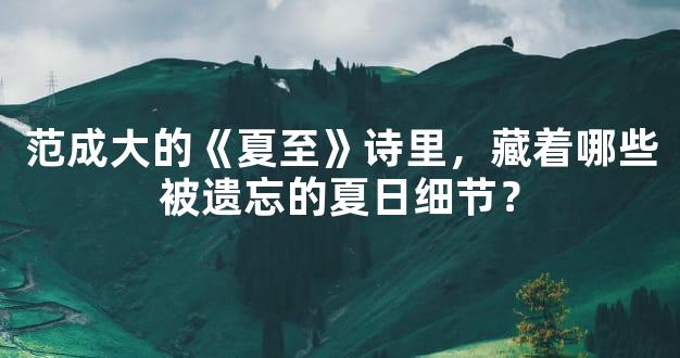 范成大的《夏至》诗里，藏着哪些被遗忘的夏日细节？