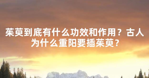 茱萸到底有什么功效和作用？古人为什么重阳要插茱萸？