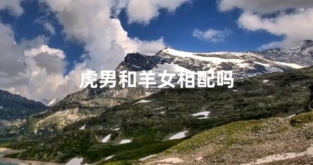 虎男和羊女相配吗