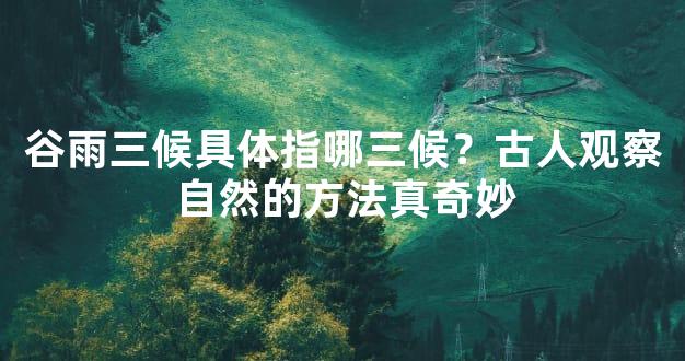 谷雨三候具体指哪三候？古人观察自然的方法真奇妙