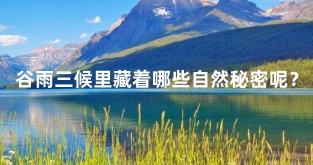 谷雨三候里藏着哪些自然秘密呢？