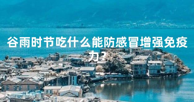 谷雨时节吃什么能防感冒增强免疫力？