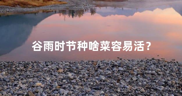 谷雨时节种啥菜容易活？