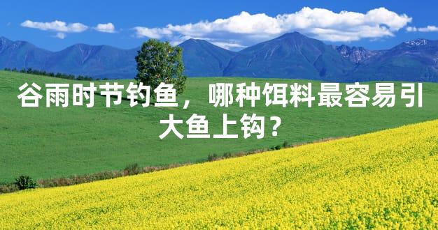 谷雨时节钓鱼，哪种饵料最容易引大鱼上钩？