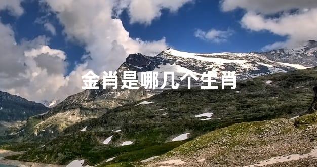 金肖是哪几个生肖