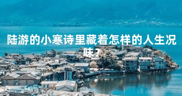 陆游的小寒诗里藏着怎样的人生况味？