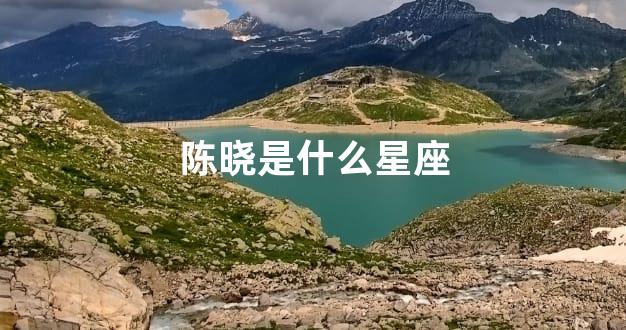 陈晓是什么星座