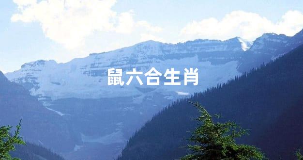 鼠六合生肖