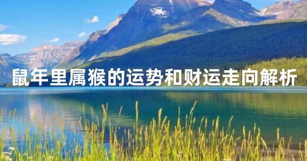 鼠年里属猴的运势和财运走向解析