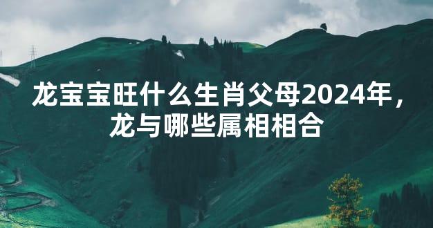 龙宝宝旺什么生肖父母2024年，龙与哪些属相相合