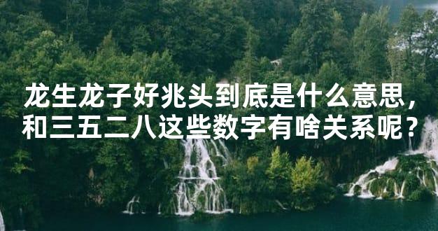 龙生龙子好兆头到底是什么意思，和三五二八这些数字有啥关系呢？