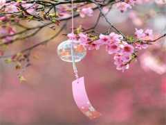 狮子座今日运势 狮子座2022年2月份的运势