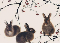2023兔年犯太岁的四个属相 兔年属龙人犯太岁的影响
