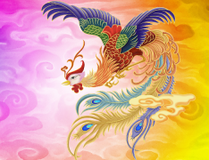 传奇中的神鸟凤凰 凤凰的象征意义和文化内涵